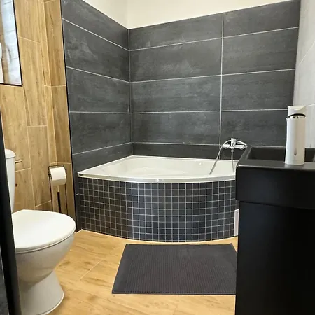 Rezidence Mahenova 1 Apartment