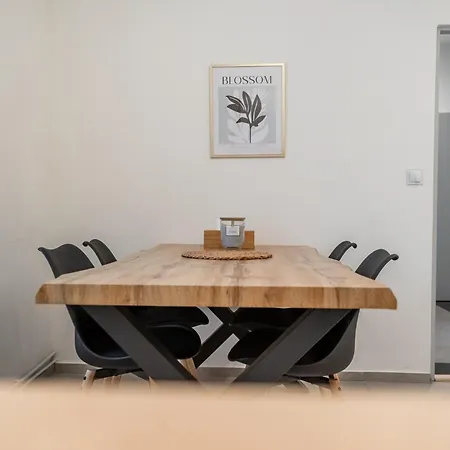 Apartment Rezidence Mahenova 1 *