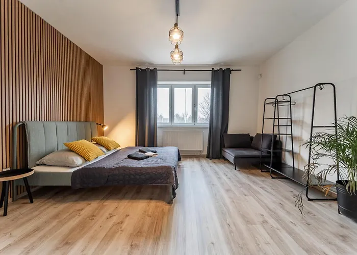 Rezidence Mahenova 1 Appartamento *